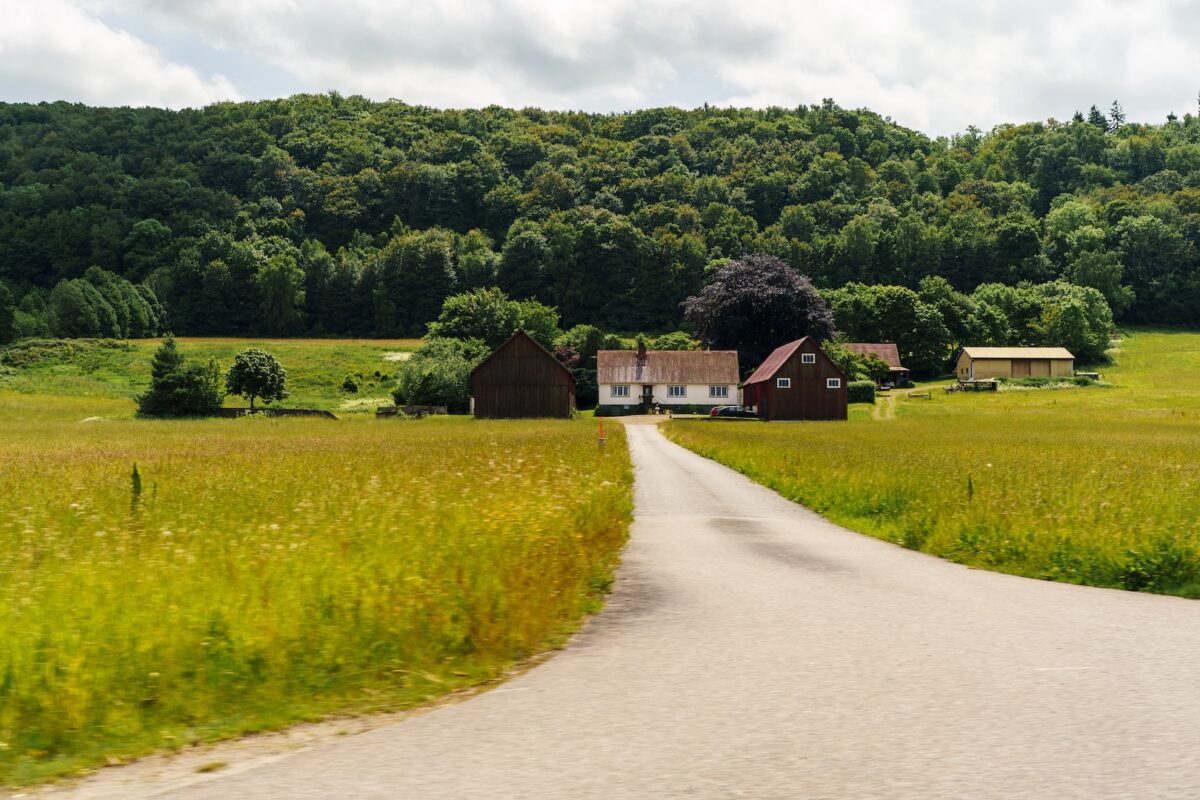 Blog20260625-NordicChase-18