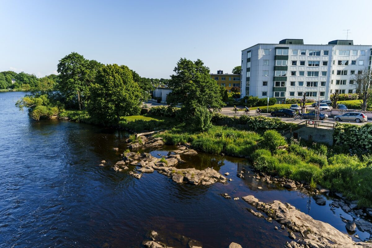 Blog20260625-NordicChase-20