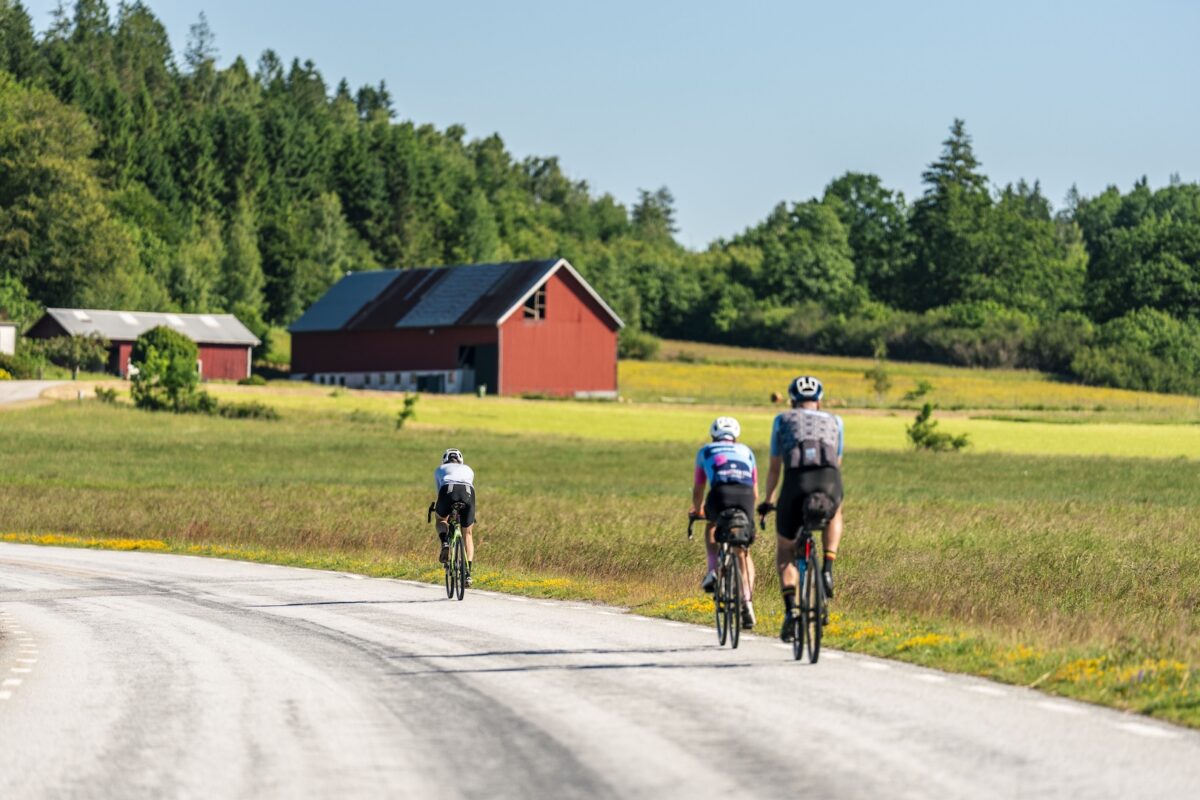 Blog20260625-NordicChase-30