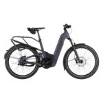 Riese Und Muller Homage5 GT Vario