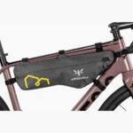 Apidura Expedition Frame Pack 4.5L
